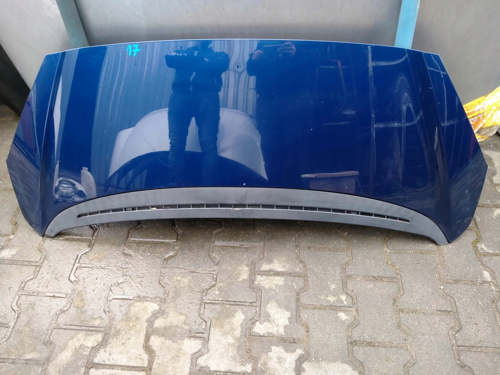 фото №2, Peugeot 1007 капот