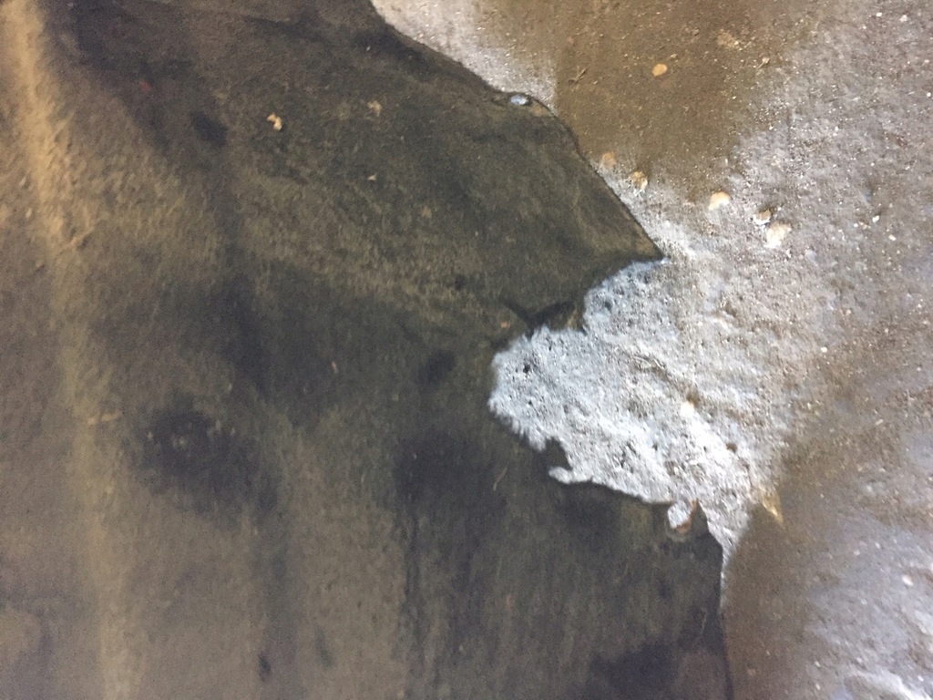 фото №11, Audi a5 8t підкрилок обшивка ліва передні 08-11r