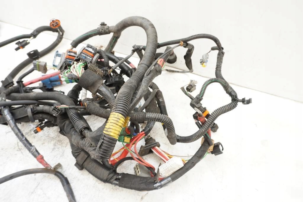 фото №7, Жгут электрическая двигателя laguna iii 2.0 dc coupe