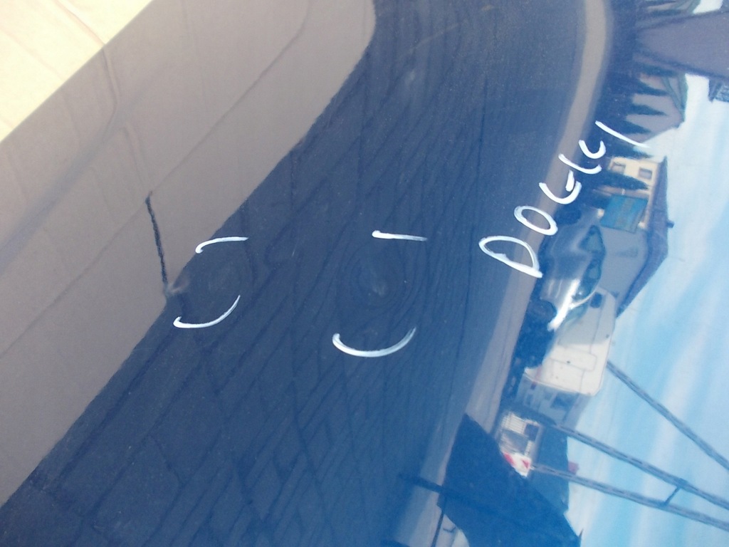 фото №11, Капот opel vectra c signum z20h