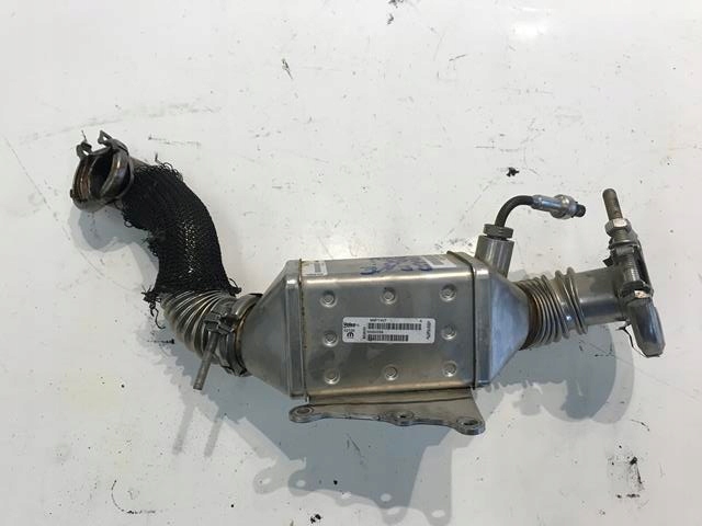 фото №1, Jeep renegade 2.0 crd радіатор egr 55252559