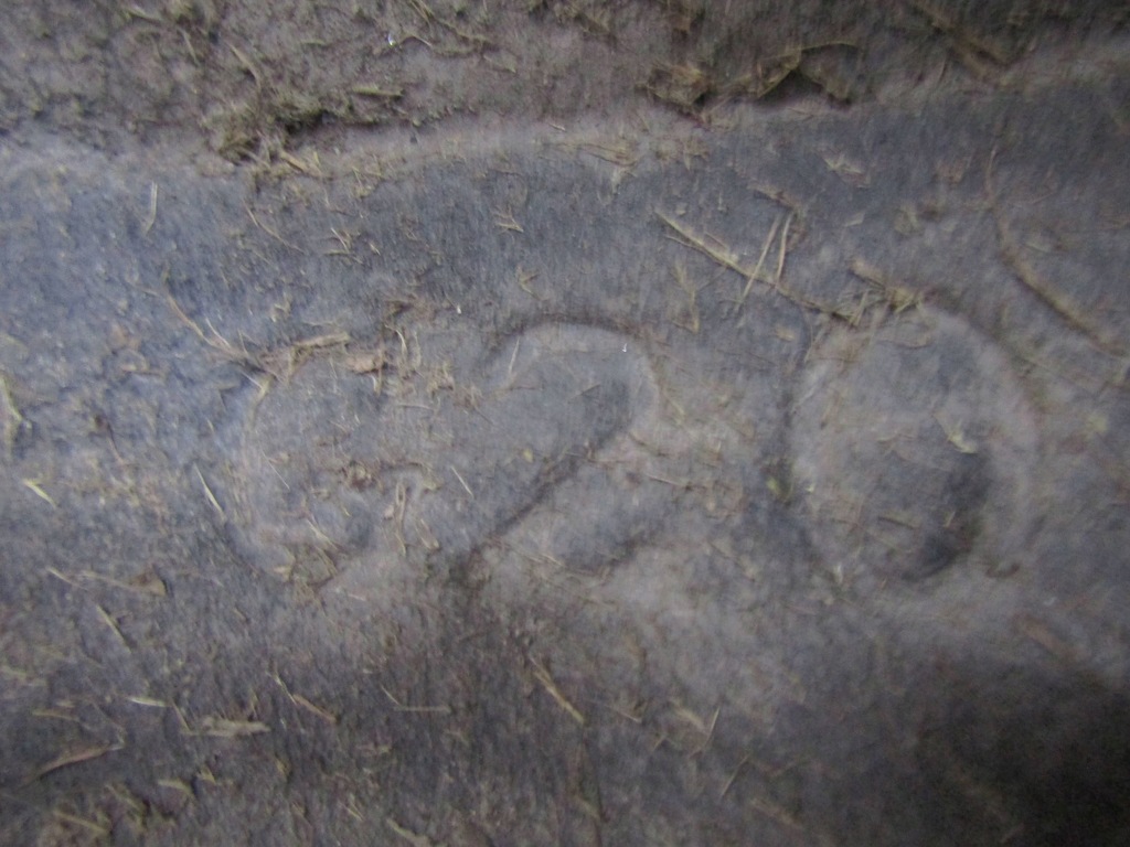 фото №8, Bmw 3 g20 подкрылок правое задняя 7640900