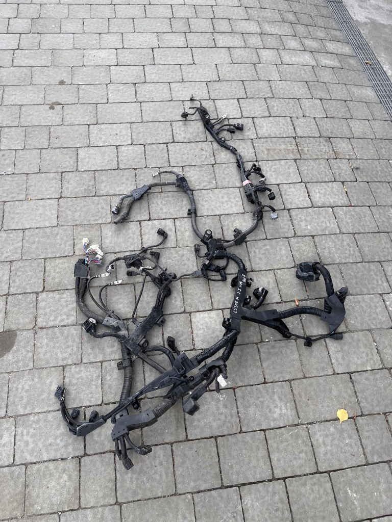 фото №1, Lexus es 300h 2018- 2.5 гибрид электропроводка двигателя