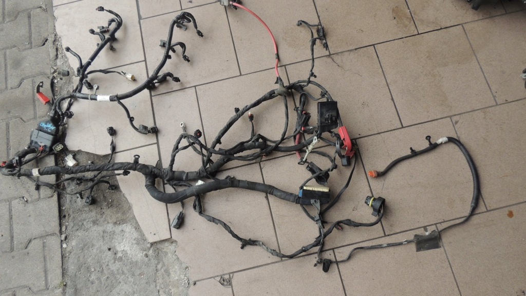 фото №1, Джгут двигуна dodge challenger 3.6 17r