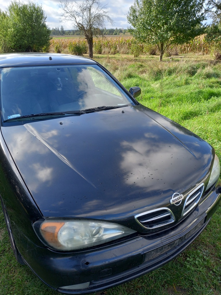 фото №8, Кришка бардачок бардачка nissan primera p11 2000 r 2.0 16v sedan