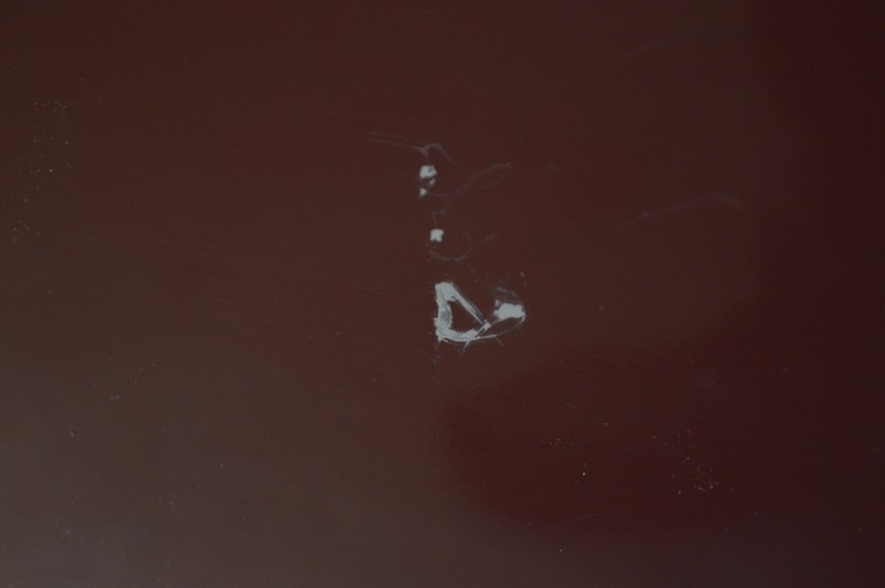 фото №10, Дверь правое перед передние бордовые ford ranger 3 iii lift 09-11