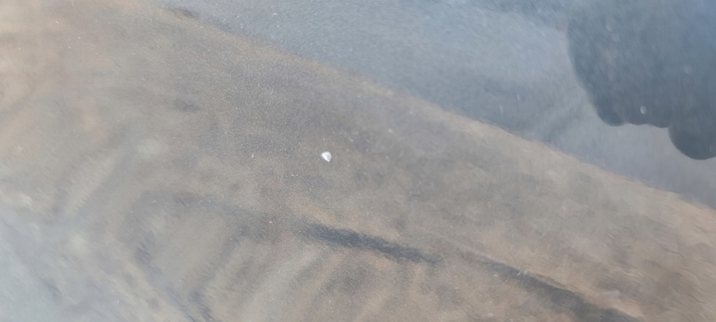 фото №13, Двері правий перед audi a5 8t coupe cabrio lz7h