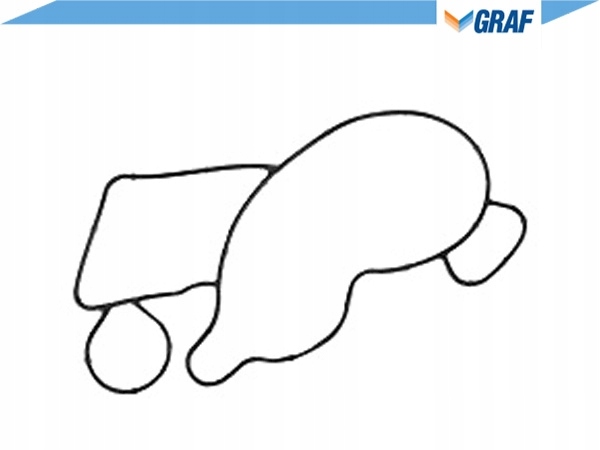 фото №2, Насос водяна - wody [graf]