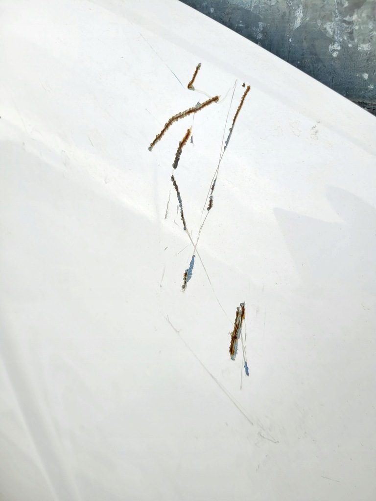 фото №12, Капот nissan navara 2 przed liftem d40 2004-2010