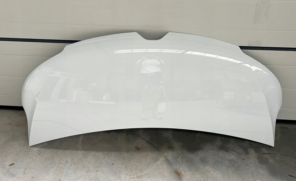 фото №1, Капот кришка двигуна renault master 4 iv 2019 білий qng