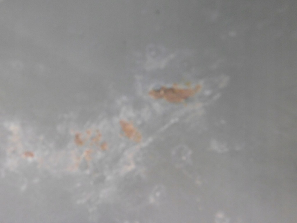 фото №6, Крыло передний левый mazda tribute ep 2003r 2.0b