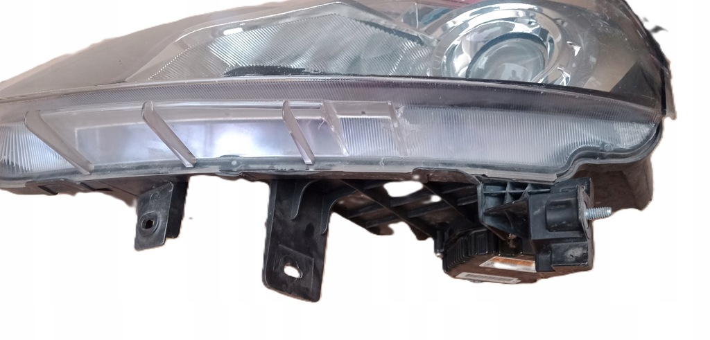 фото №3, Лампа ксенон левый перед renault koleos europa