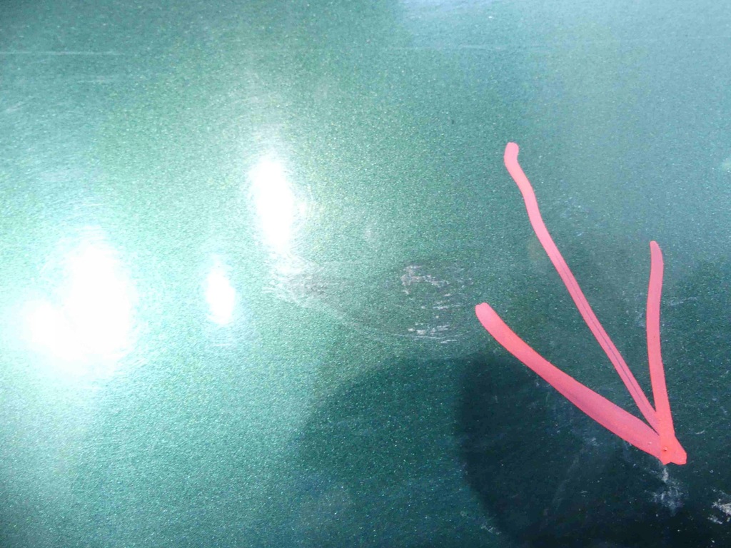 фото №10, Бампер задняя nissan primera p11 зелёный sedan