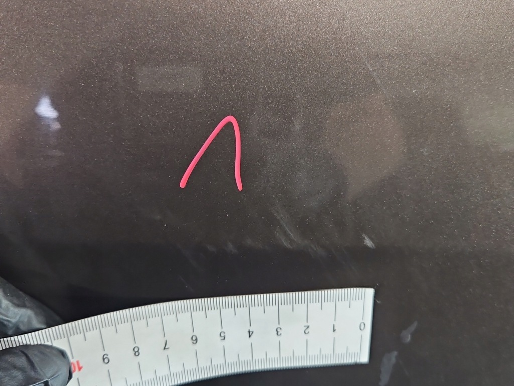 фото №4, Дверь задняя правое renault scenic iii hb 5d коричневый tecnb