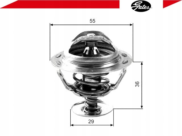 фото №2, Термостат [gates]