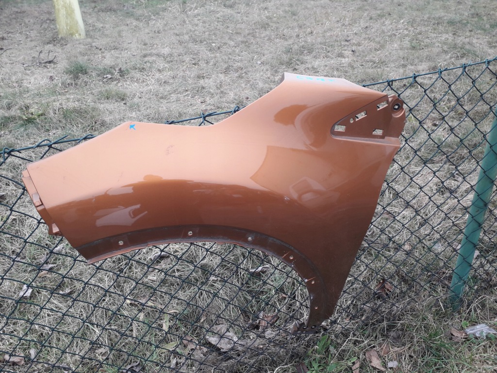 Купить Renault оригинальный номер 63 10 196 04r крыло