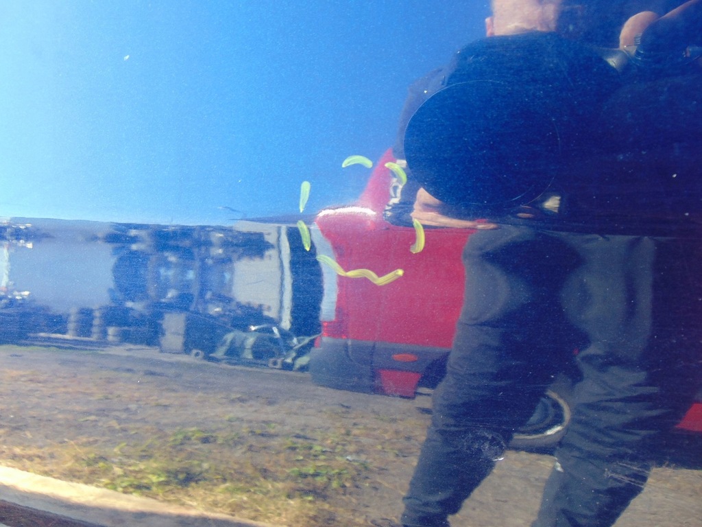 фото №8, Двері правий задня volkswagen vw golf vi kombi ld5q