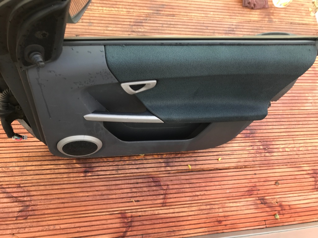 фото №3, Двері правий перед smart forfour i europa