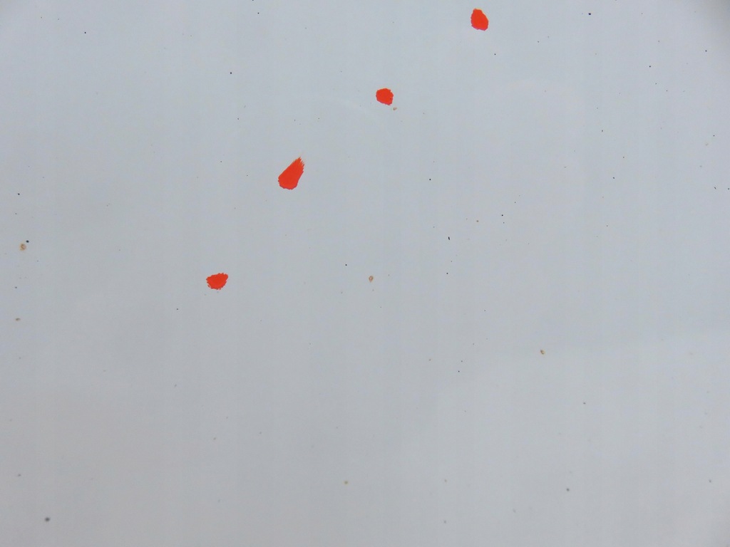 фото №10, Кришка багажника багажника kia sportage iii wd