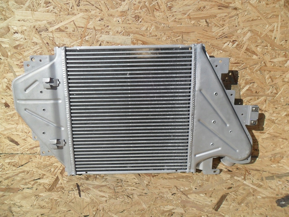 Купити Renault clio 2000 2001 2002 2003 2004 інтеркулер