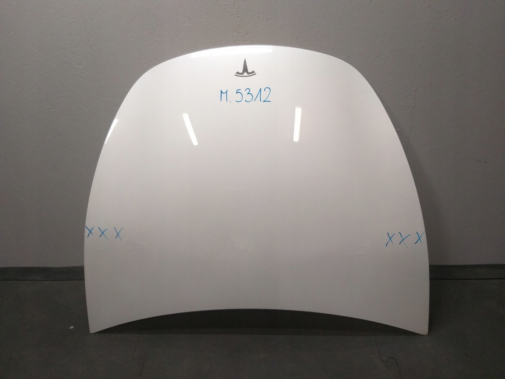 фото №1, Капот tesla y