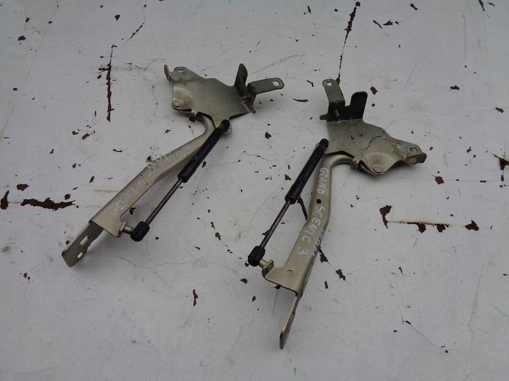 фото №1, Петли капот renault grand scenic 3 iii