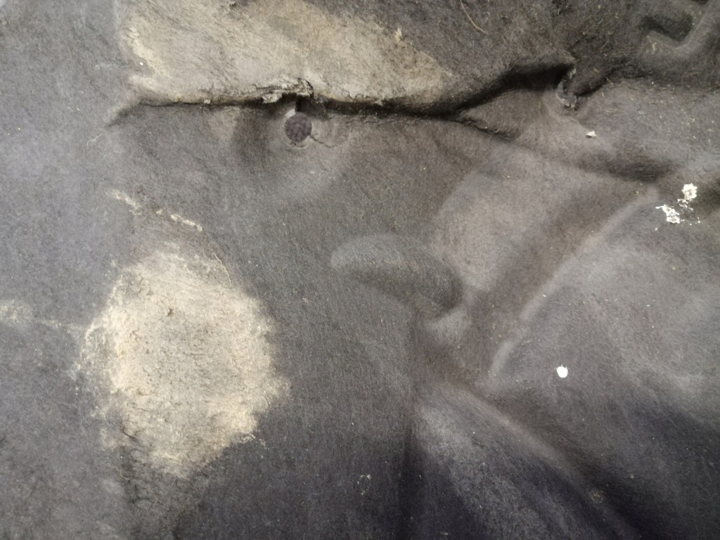 фото №6, Корпус ниша колеса правый перед bmw 3 f30 f31