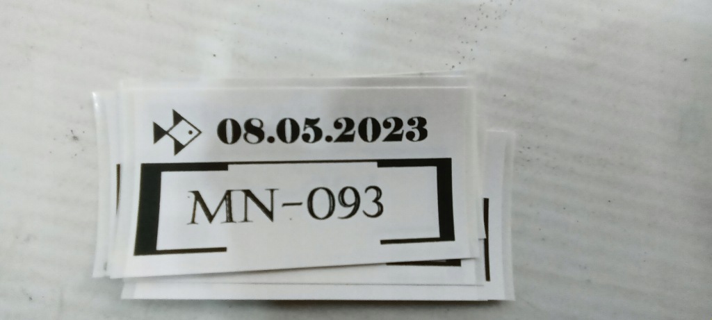 фото №10, Балка бампера задня vw touran 1t0807585b