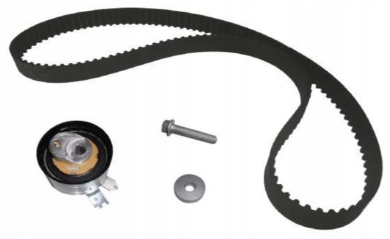 фото №1, Dolz skd113 набір ремінь розподільного валу