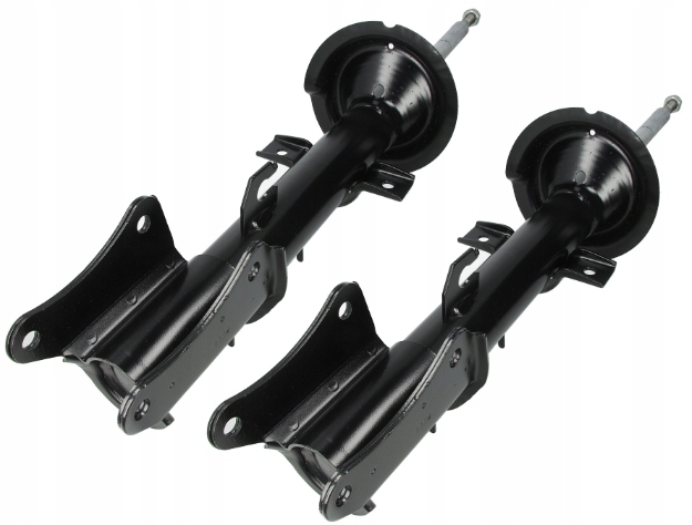 фото №1, Alfa romeo 147 амортизатори газові задня комплект