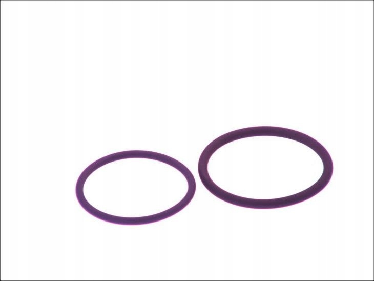 Купить Элементы насос-форсунка bosch f 00v x99 992