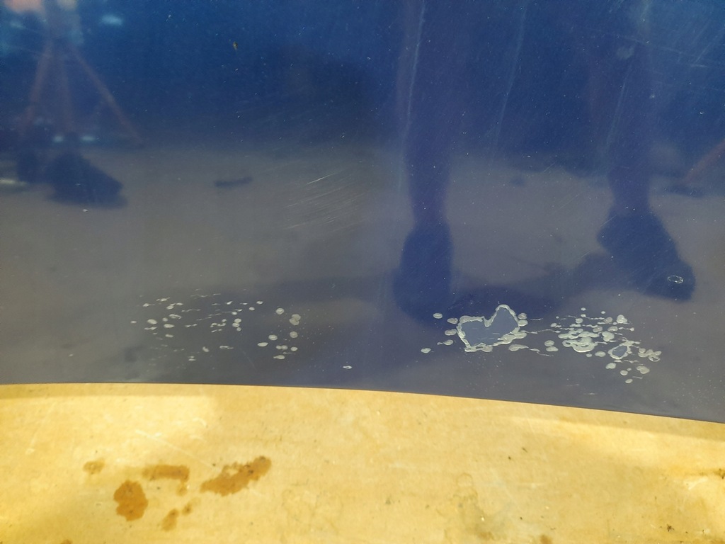 фото №4, Капот vw passat b5 lift lc5x