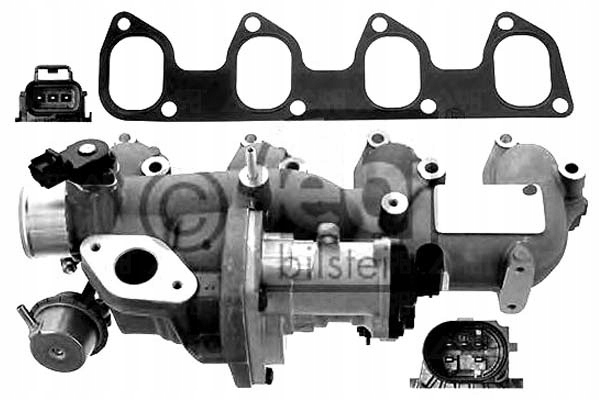 фото №1, Febi коллектор всасывающий с клапан egr ford tourneo c
