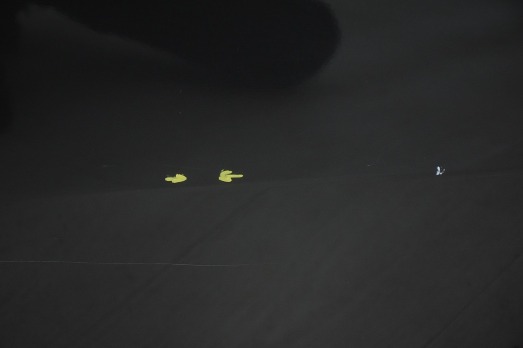 фото №6, Двері передні перед ліва kia sportage iii 1k