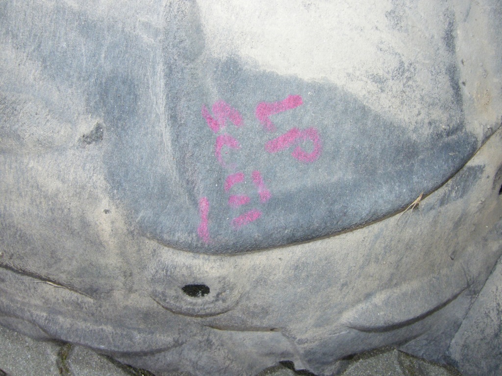 фото №3, Подкрылок левый перед передние scenic iii оригинал