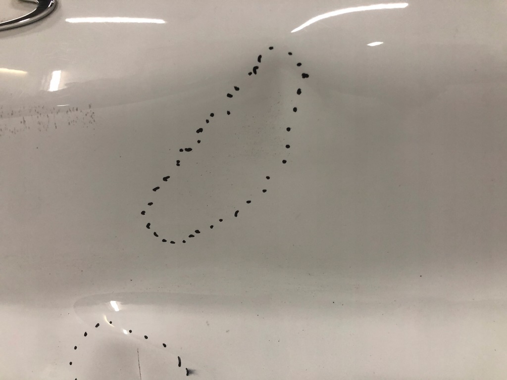 фото №5, Porsche cayenne coupe оригинальный номер 9y3854051n