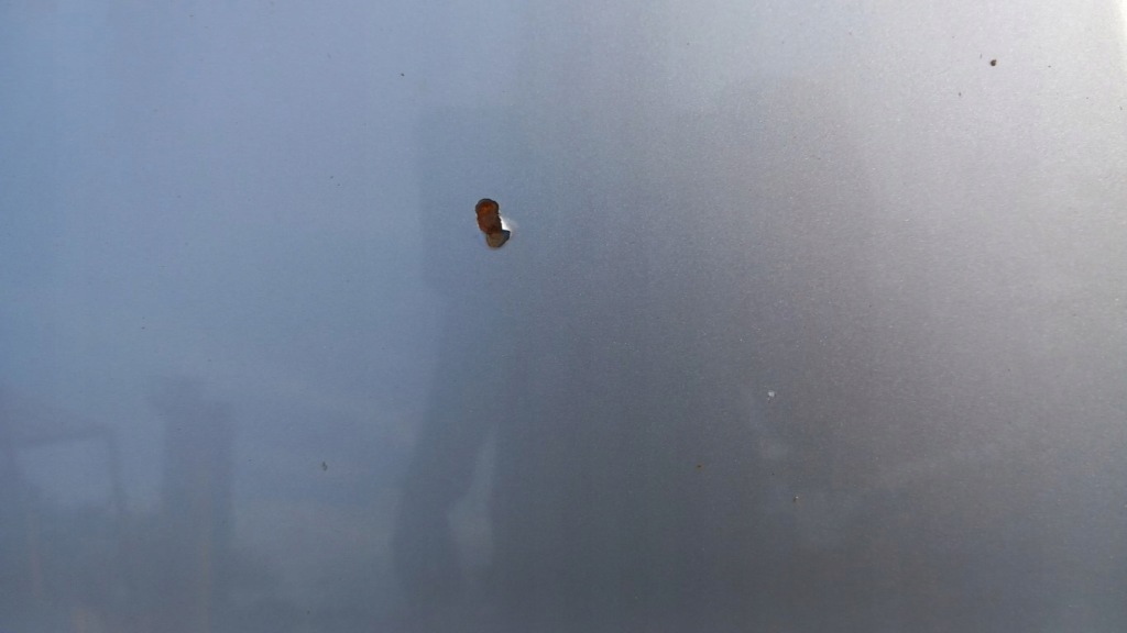 Bmw e87 капот 354/7 Зі Шроту