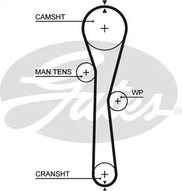 фото №3, Комплект ремінь розподільного валу gates k015577xs