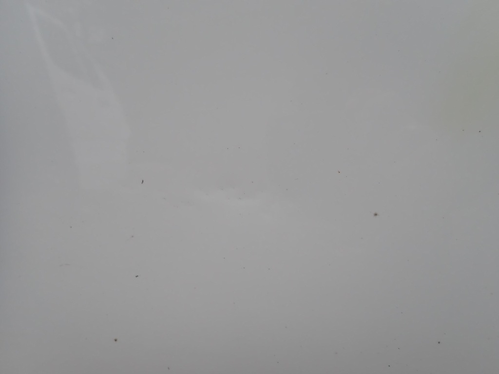 фото №2, Двері ліва передні лівий перед renault zoe bfm