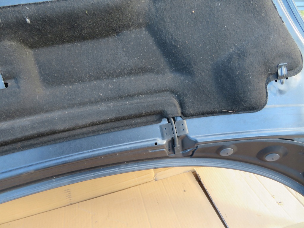 фото №14, Капот двигуна renault scenic iii 11r