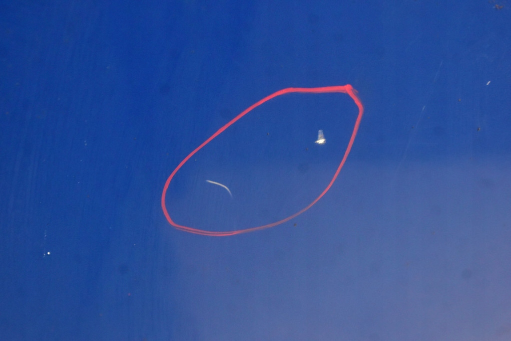 фото №8, Дверь задние правое крыло ciemnoniebieskie fiat doblo 1 i lift 05-17