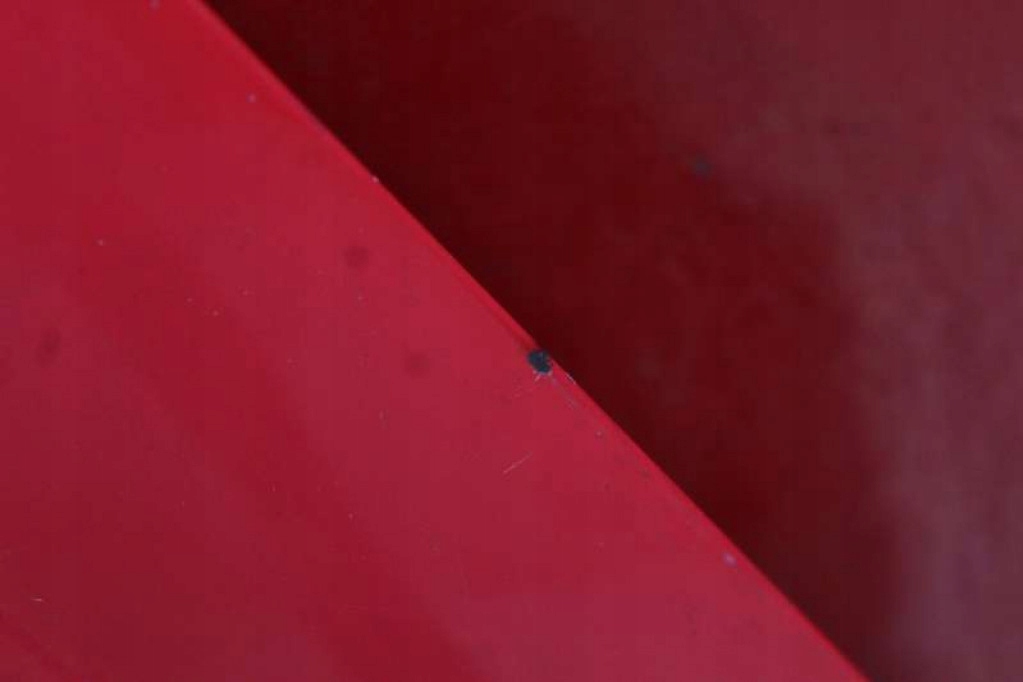 Капот крышка двигателя czerwona honda civic 8 viii 06-11 в Украине