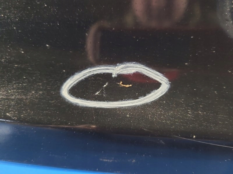 фото №8, Кришка багажника задня кришка багажника hyundai sonata yf 10-14-69200-3q000