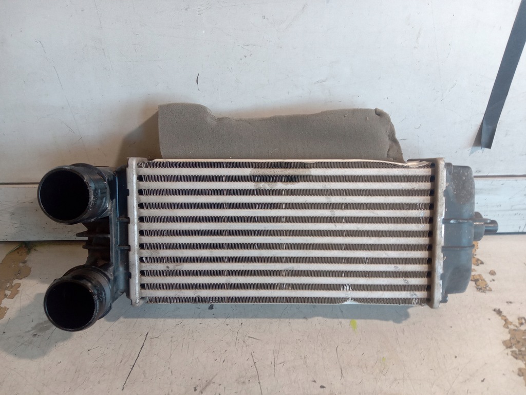 фото №4, Ford ecosport lift інтеркулер 1.5 tdci