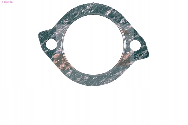 фото №2, Прокладка термостата eps