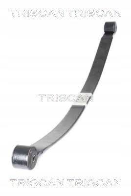 фото №2, Ресора ресорний задня 8765 16055 triscan ford