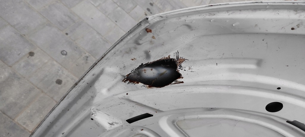 фото №10, Капот кришка двигуна audi a4 b8 lift