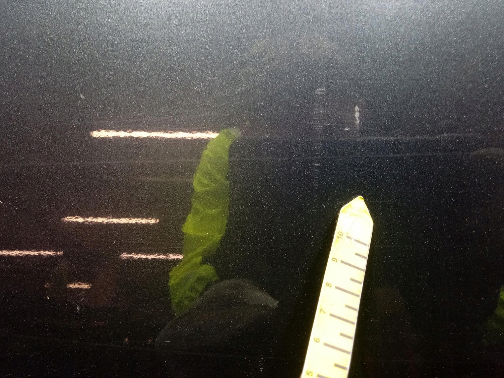 фото №9, Hyundai ix35 i двері перед праве передні 5k