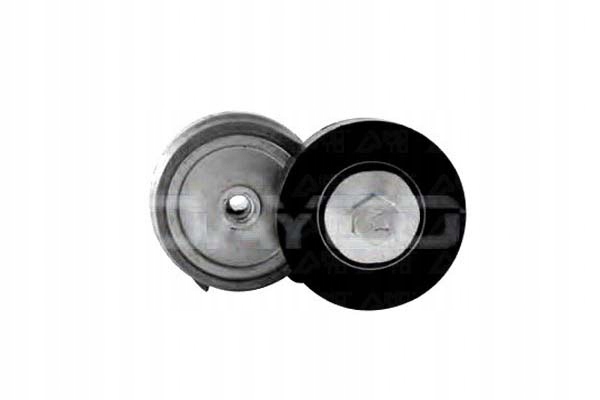 Купити Dayco натягувач ремінь багаторучейковий iveco eurotech