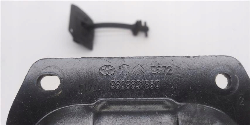 фото №3, Organicznik дверь задняя створка expert iii